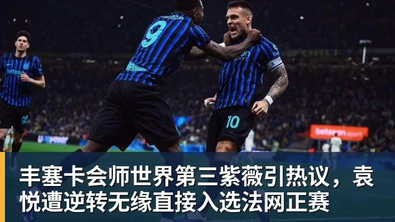 FB体育丰塞卡会师世界第三紫薇引热议，袁悦遭逆转无缘直接入选法网正赛
